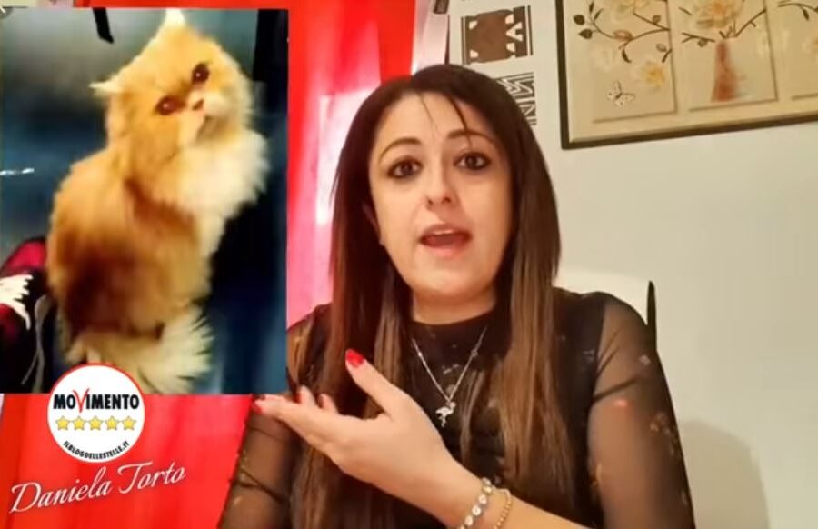 Le priorità dei grillini: interrogazione parlamentare sul caso Grisù, la gattina cacciata da un treno