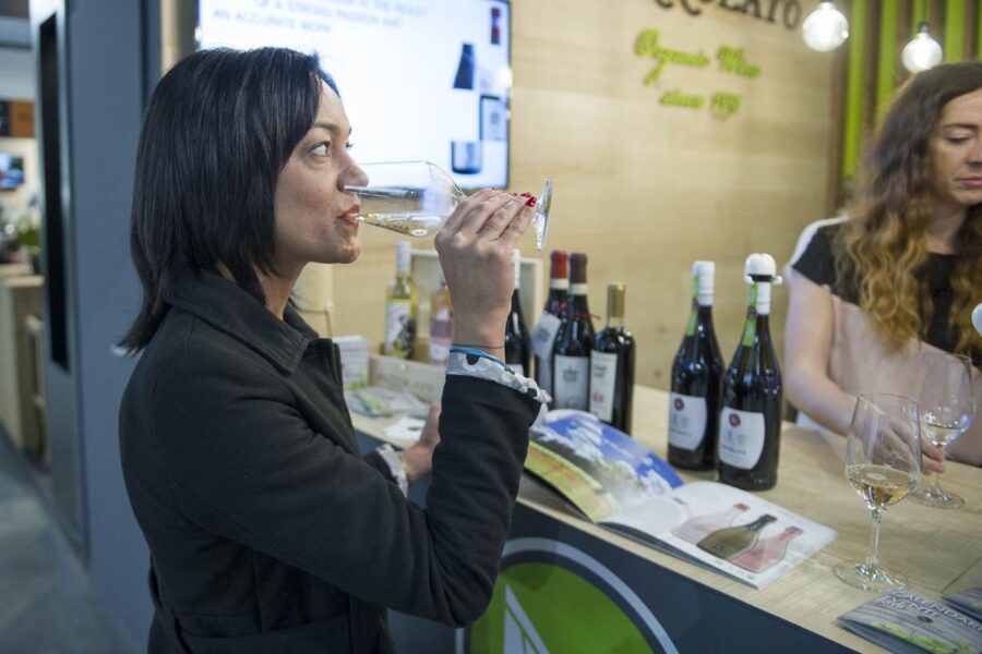 Salta Vinitaly, ma il nostro vino resiste. Il caso Valpolicella