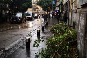 Doppio incidente al Corso Vittorio Emanuele: camion trascina alberi e autobus investe donna