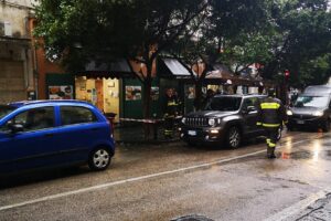 Doppio incidente al Corso Vittorio Emanuele: camion trascina alberi e autobus investe donna