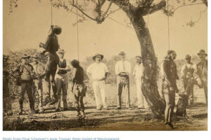 Storia dell’albero Marula, da forca a monumento all’eccidio dello Zimbabwe