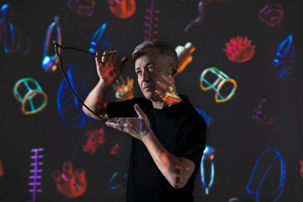 Le api “cantano” in ‘The Queen’, un brano e un video girato in un alveare: l’iniziativa per salvarle dall’estinzione