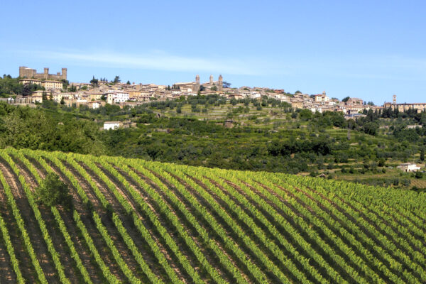 Brunello di Montalcino, perché il 2016 è la migliore annata del decennio