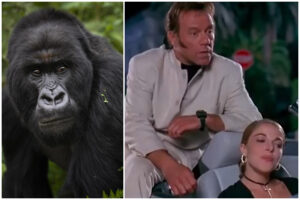 Anche gli animali “o’ fanno strano”: il kamasutra come motore dell’evoluzione