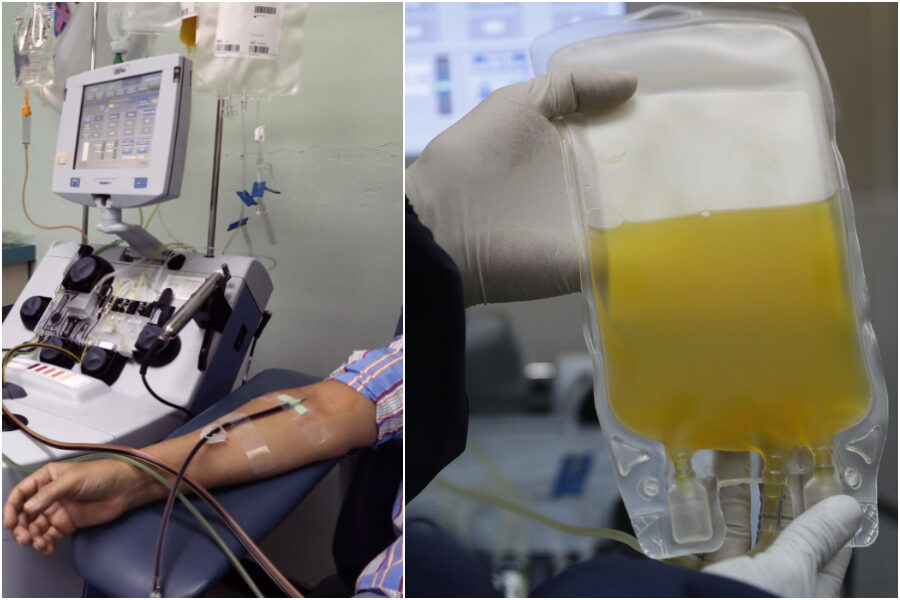 Plasma anti-Covid, Aifa e Iss smontano la terapia: “Non riduce rischi peggioramento o morte”