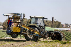 Pil, la crescita rallenta. Puglia, Lombardia ed Emilia-Romagna restano ai vertici: l’obiettivo è evitare un nuovo stop