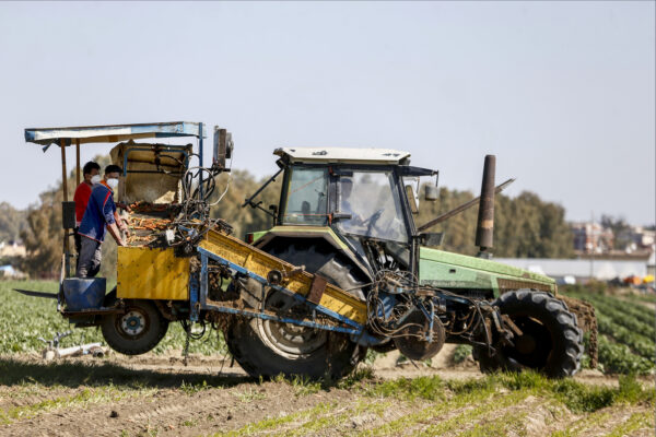Pil, la crescita rallenta. Puglia, Lombardia ed Emilia-Romagna restano ai vertici: l’obiettivo è evitare un nuovo stop