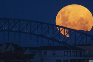 Arriva la Superluna di sangue: quando e come vedere la spettacolare eclissi