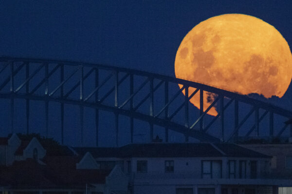 Arriva la Superluna di sangue: quando e come vedere la spettacolare eclissi