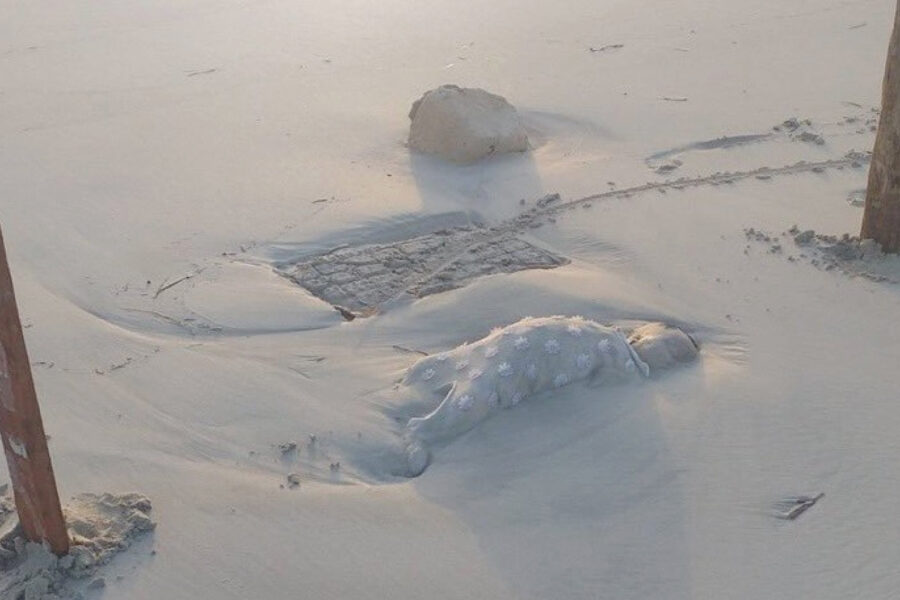 Un Paese sedato che dimentica i bambini morti sulle spiagge