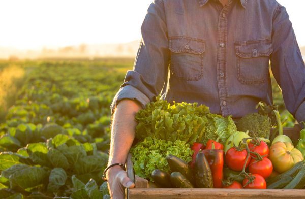 Agrifood, a Roma approvato il piano in Campidoglio