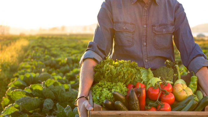 Agrifood, a Roma approvato il piano in Campidoglio