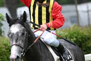 A Capannelle il Derby fa show: parata di vip per l’evento clou