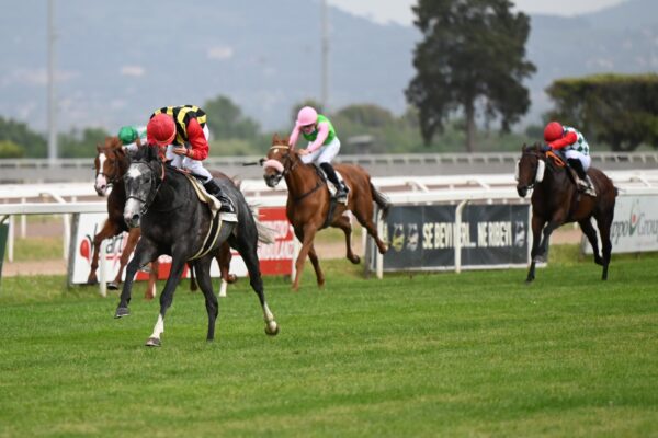 Il Derby a Capannelle, Foto: Domenico Savi Il Derby a Capannelle, Foto: Domenico Savi