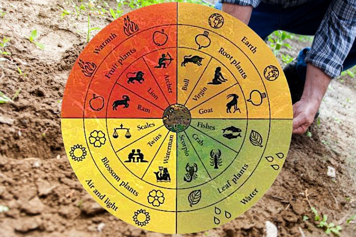 Agricoltura biologica, il Ddl spiegato in 5 punti dopo inesattezze e pratiche stregonesche