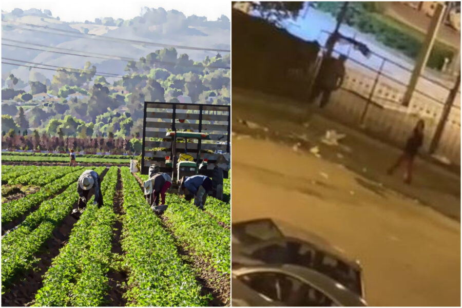 Caporalato, donne sfruttate per 12 ore al giorno e pagate 4 euro: “Costi ridotti del 200%”