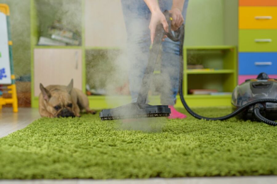 Woman cleaning carpet withsteam generator in the children room. destroying allergens – house dust mites and pet hair