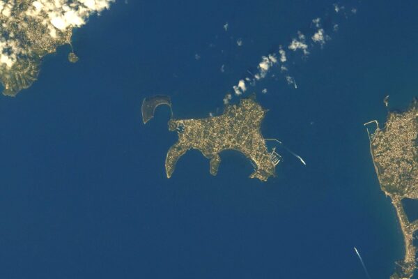 Procida vista dallo Spazio: “Sembra un gatto”, la straordinaria foto dell’astronauta Procida vista dallo Spazio: “Sembra un gatto”, la straordinaria foto dell’astronauta
