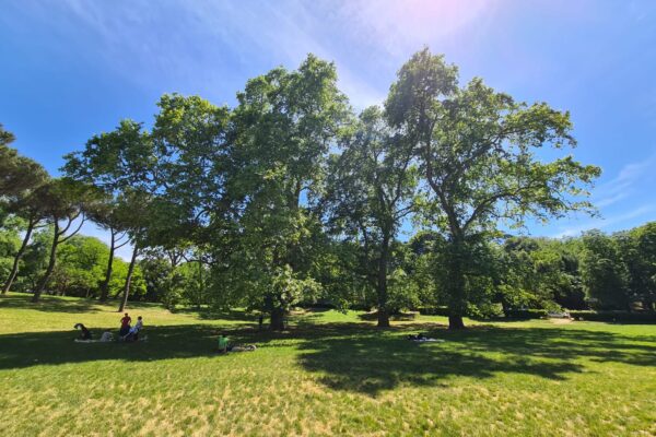 Piazza di Siena a Roma