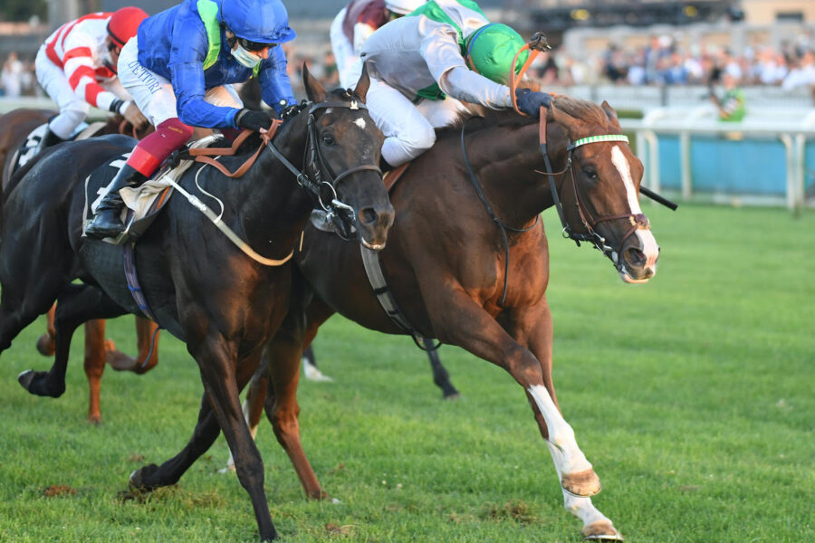 Domenica il Derby sale a cavallo: a Capannelle l’evento top