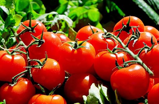 Pomodori contaminati da pesticidi importati da Egitto e Cina e spacciati come 100% italiani