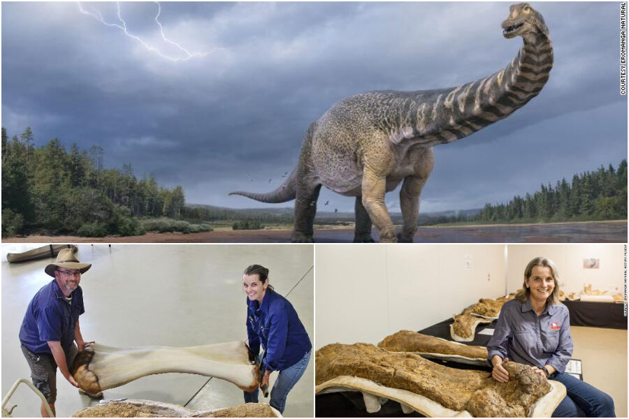 Scoperto dinosauro gigante, lungo quanto un campo da basket e alto come un edificio a due piani