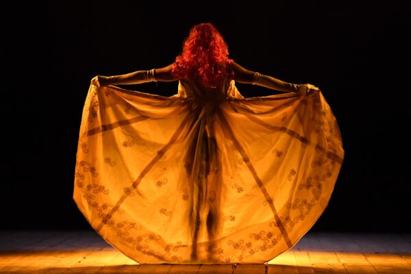 “Bestiario Teatrale”, 20 anni di storia sul palco di Emma Dante: in mostra gli oggetti di scena