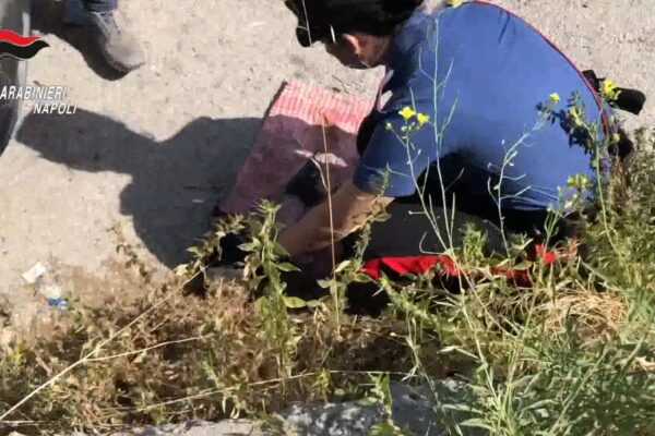 Controlli a Pianura, pistola e cocaina trovati nascosti in un muretto di tufo