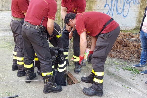 Precipita nel tombino: salvata dai vigili del fuoco e trasportata in ospedale