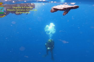 Salvate dodici tartarughe e rimesse in mare aperto a largo di Ventotene