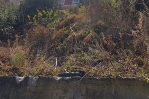 Tragedia a Capri, autobus precipita nel vuoto: muore autista, 23 feriti (15 in ospedale tra cui due bambini)