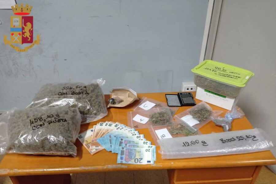 Roma, 26enne affitta appartamento per coltivare marijuana: “Ho smesso perché i vicini si lamentavano”