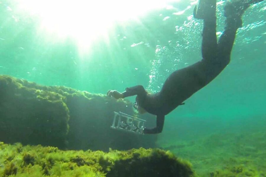 Trenta anni di Beni Culturali al Suor Orsola: Da Procida un anno di eventi e novità
