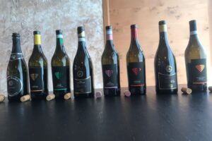 Le Seiterre di Gigi e Anna Rizzi: da Verona il risiko del vino italiano