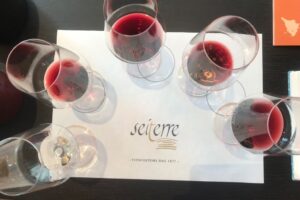 Le Seiterre di Gigi e Anna Rizzi: da Verona il risiko del vino italiano