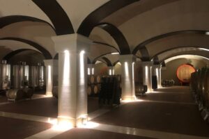 Le Seiterre di Gigi e Anna Rizzi: da Verona il risiko del vino italiano