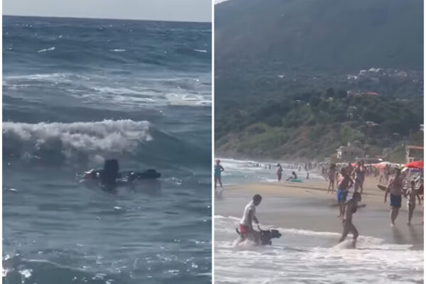 Rischia di affogare, 15enne soccorsa dai cani bagnini: il salvataggio spettacolare dei due labrador