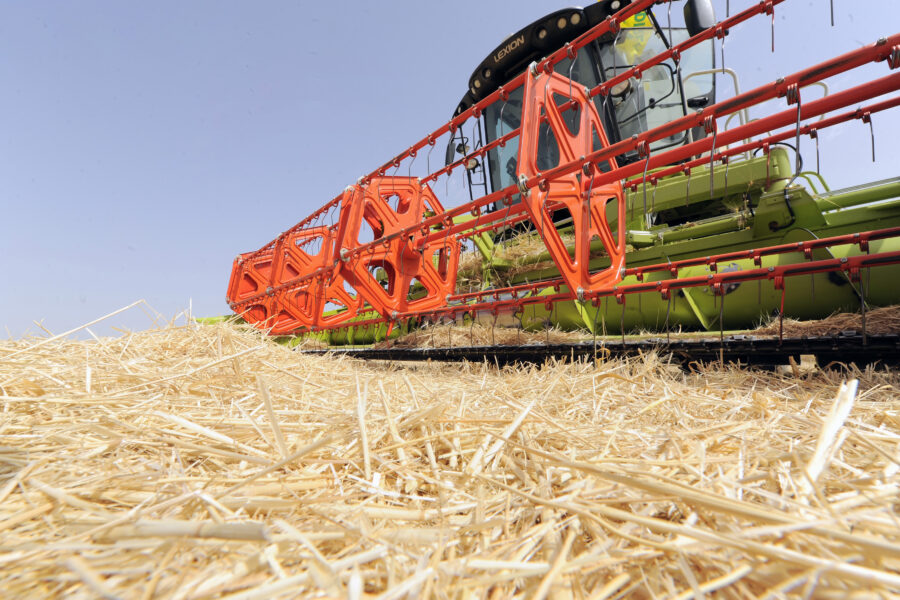 PRODUZIONE
RACCOLTA GRANO ITALIANO
TREBBIATURA
FRUMENTO 
MIETITREBBIA  
COLTIVAZIONE
TRITICUM
ALTAMURA PUGLIA MIETITURA