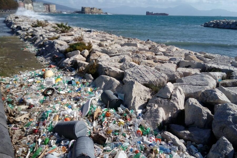 Report Goletta Verde: senza depuratori e controlli muore il nostro mare