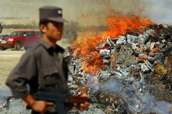 Oppio, l’arma economica dei talebani: un mercato da 6 miliardi per acquistare armi