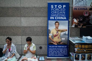 Organi strappati ai detenuti, l’orrore made in Cina nelle galere
