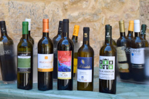 Belice capitale del vino, nella valle ferita ora si libano i calici: benvenuti a Salaparuta