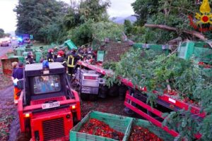 Scoppia pneumatico sul raccordo, il tir sbanda, abbatte alberi e perde carico: morto il camionista