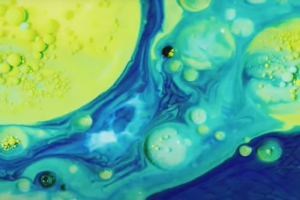 Che cos’è la “droga dello stupro”: il GBL e l'”ecstasy liquida” GHB e la loro esposizione mediatica