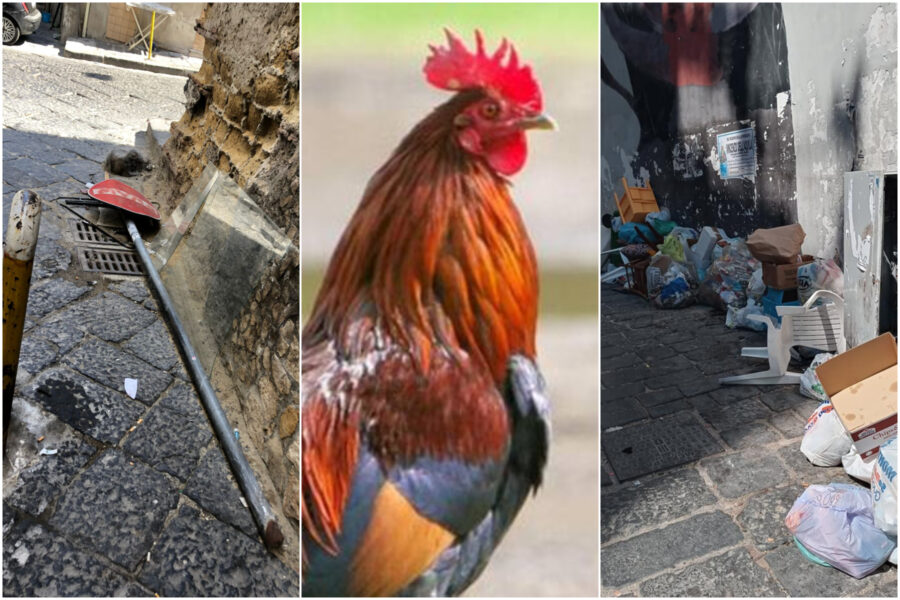 Galli, monnezza e segnali stradali demoliti, è anarchia nel Rione Sanità: “Questo è il benvenuto ai turisti”