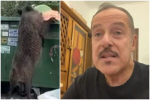 “Inseguito da un cinghiale sotto casa a Roma”, lo sfogo dell’attore Massimo Lopez