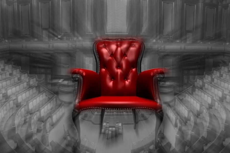 Razza poltrona molto sorniona