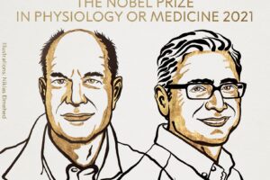 Premio Nobel per la Medicina a David Julius e Ardem Patapoutian: hanno scoperto i recettori della temperatura e del tatto