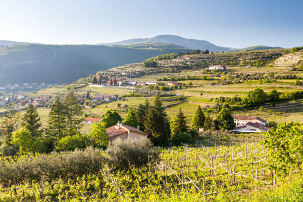 Non solo Amarone, tutte le sfumature della Valpolicella