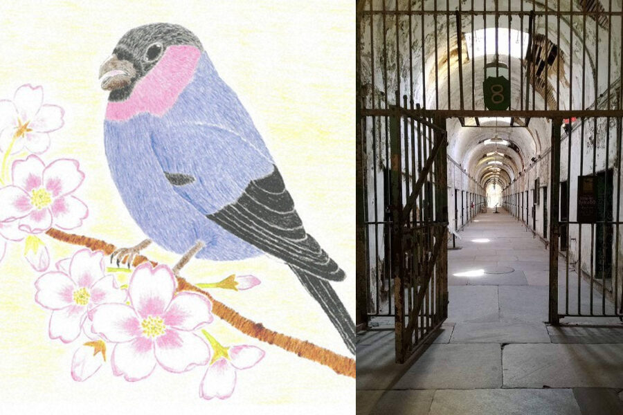 Stop ai colori nel braccio della morte, in Giappone vietati pastelli e temperamatite